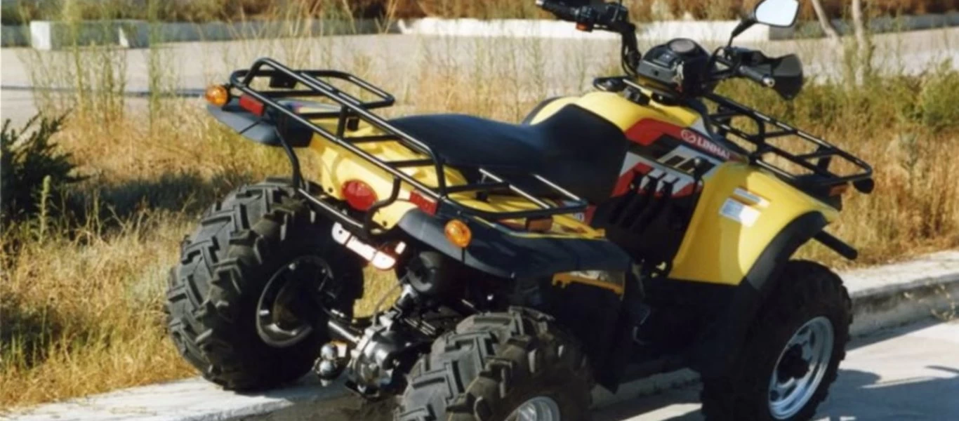 Τρίκαλα: Τροχαίο με γουρούνα που έπεσε στο ποτάμι - Στο νοσοκομείο ο οδηγός